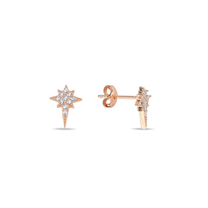 Heliophilia Silver Pendientes de Plata de Ley 925 con Oro Rosa y Circón Heliophilia Silver Pendientes de Plata de Ley 925 con Oro Rosa y Circón